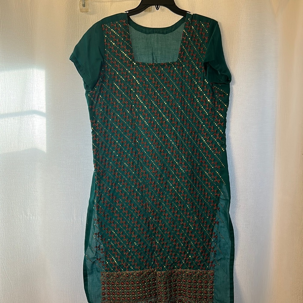 NWOT Indian Saree